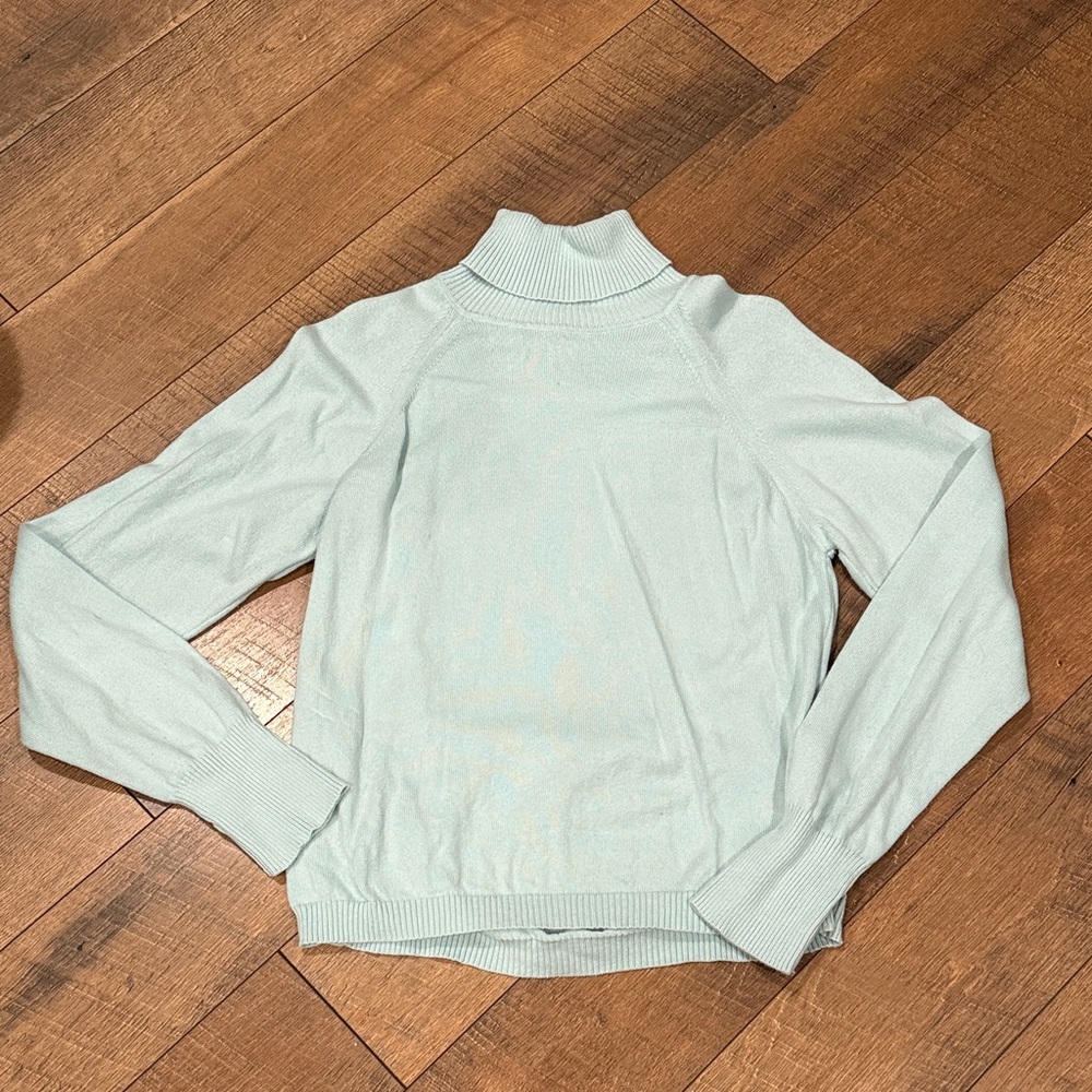 Talbots Soft Pastel Mint Turtleneck Sweater